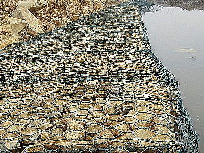 雷諾護(hù)墊 雷諾護(hù)墊